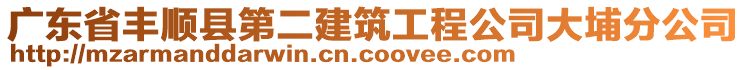 廣東省豐順縣第二建筑工程公司大埔分公司