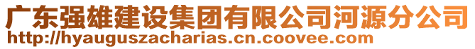 廣東強(qiáng)雄建設(shè)集團(tuán)有限公司河源分公司