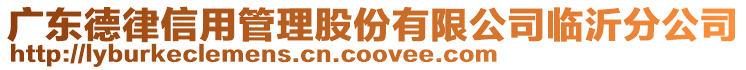 廣東德律信用管理股份有限公司臨沂分公司