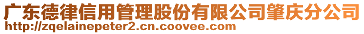 廣東德律信用管理股份有限公司肇慶分公司