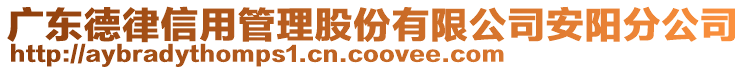 廣東德律信用管理股份有限公司安陽(yáng)分公司