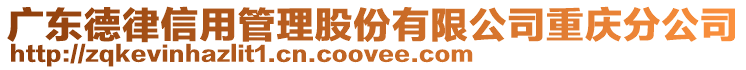 廣東德律信用管理股份有限公司重慶分公司