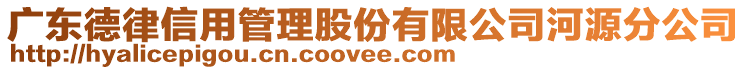 廣東德律信用管理股份有限公司河源分公司