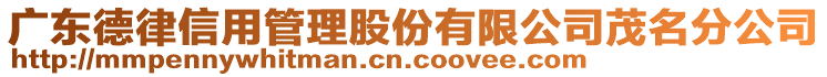 廣東德律信用管理股份有限公司茂名分公司