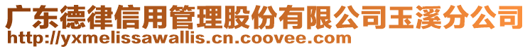 廣東德律信用管理股份有限公司玉溪分公司