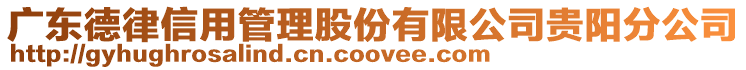 廣東德律信用管理股份有限公司貴陽分公司