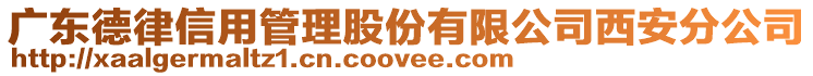 廣東德律信用管理股份有限公司西安分公司