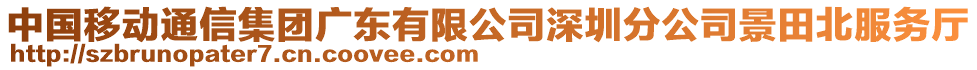 中國(guó)移動(dòng)通信集團(tuán)廣東有限公司深圳分公司景田北服務(wù)廳