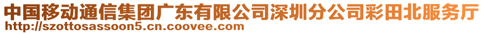 中國移動通信集團(tuán)廣東有限公司深圳分公司彩田北服務(wù)廳