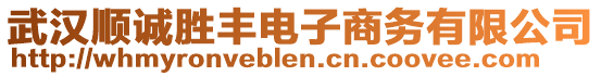 武漢順誠(chéng)勝豐電子商務(wù)有限公司