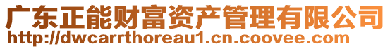 廣東正能財富資產管理有限公司