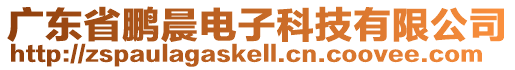 廣東省鵬晨電子科技有限公司