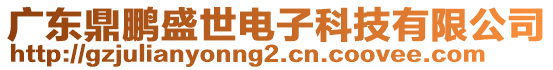 廣東鼎鵬盛世電子科技有限公司