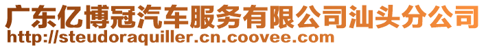 廣東億博冠汽車服務有限公司汕頭分公司