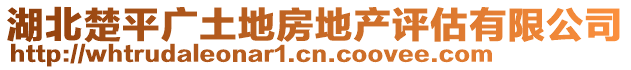 湖北楚平廣土地房地產評估有限公司