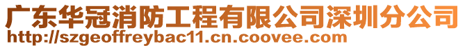 廣東華冠消防工程有限公司深圳分公司