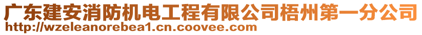 廣東建安消防機(jī)電工程有限公司梧州第一分公司