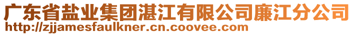 廣東省鹽業(yè)集團湛江有限公司廉江分公司