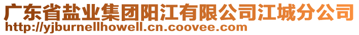 广东省盐业集团阳江有限公司江城分公司