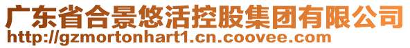 广东省合景悠活控股集团有限公司