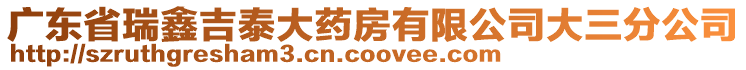 廣東省瑞鑫吉泰大藥房有限公司大三分公司