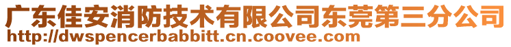 廣東佳安消防技術(shù)有限公司東莞第三分公司