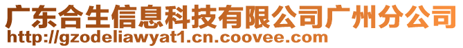 廣東合生信息科技有限公司廣州分公司