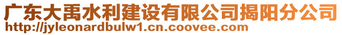 廣東大禹水利建設(shè)有限公司揭陽分公司