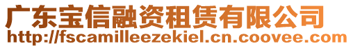 廣東寶信融資租賃有限公司