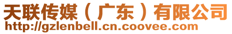 天聯(lián)傳媒（廣東）有限公司