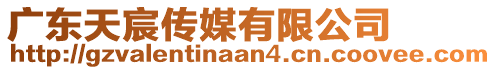 廣東天宸傳媒有限公司