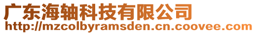 廣東海軸科技有限公司