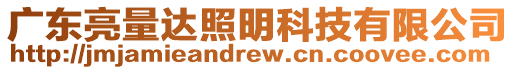 廣東亮量達(dá)照明科技有限公司