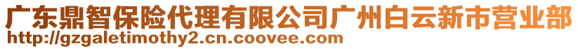 廣東鼎智保險代理有限公司廣州白云新市營業(yè)部