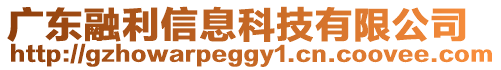 廣東融利信息科技有限公司