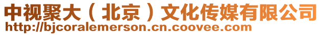 中視聚大(北京)文化傳媒有限公司