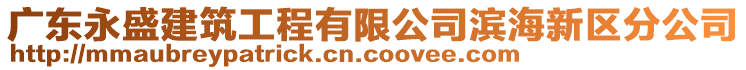 廣東永盛建筑工程有限公司濱海新區分公司