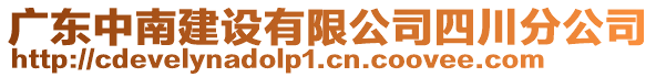 廣東中南建設有限公司四川分公司