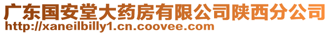 廣東國(guó)安堂大藥房有限公司陜西分公司