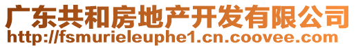 廣東共和房地產(chǎn)開發(fā)有限公司