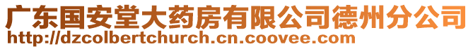 廣東國安堂大藥房有限公司德州分公司