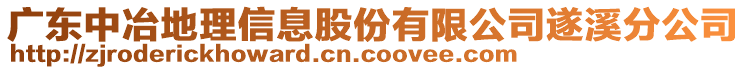 廣東中冶地理信息股份有限公司遂溪分公司