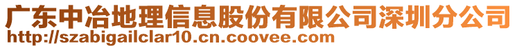 廣東中冶地理信息股份有限公司深圳分公司