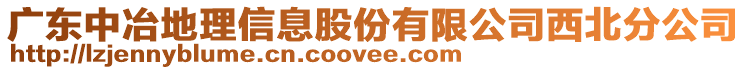 廣東中冶地理信息股份有限公司西北分公司