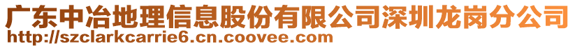 廣東中冶地理信息股份有限公司深圳龍崗分公司