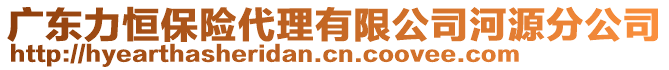 广东力恒保险代理有限公司河源分公司