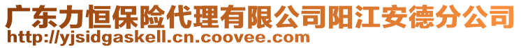 廣東力恒保險(xiǎn)代理有限公司陽江安德分公司