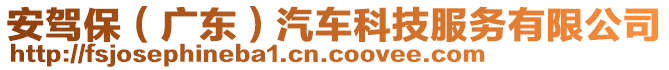 安駕保（廣東）汽車科技服務(wù)有限公司