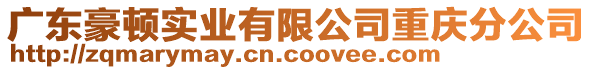 廣東豪頓實(shí)業(yè)有限公司重慶分公司