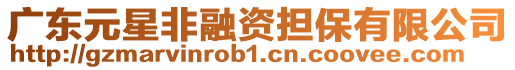 廣東元星非融資擔保有限公司